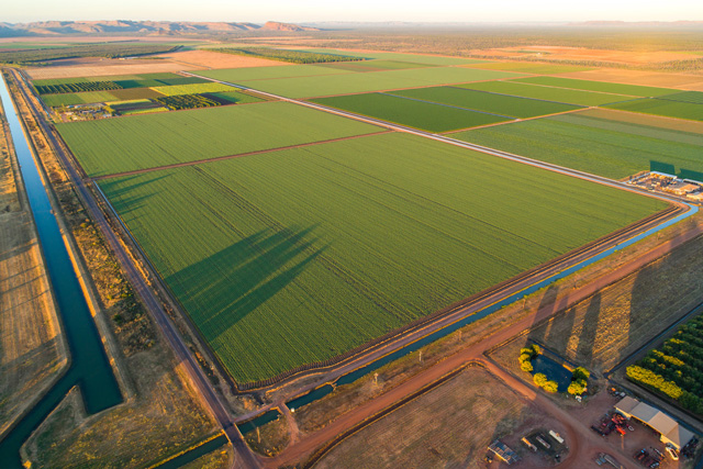 Ord River Irrigation Area